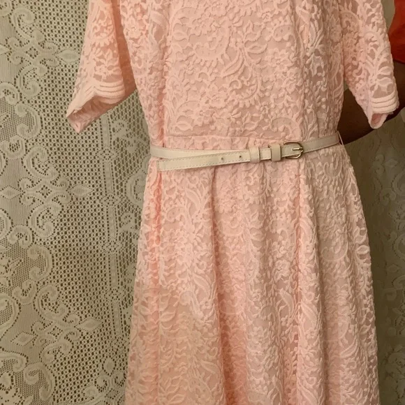 CHARTER CLUB pull over knee length dress, with scalloped cuff sleeves. (lace) - Picture 2 of 13